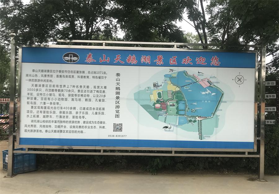 天鵝湖風(fēng)景區(qū)（泰山）速覽！(圖2)